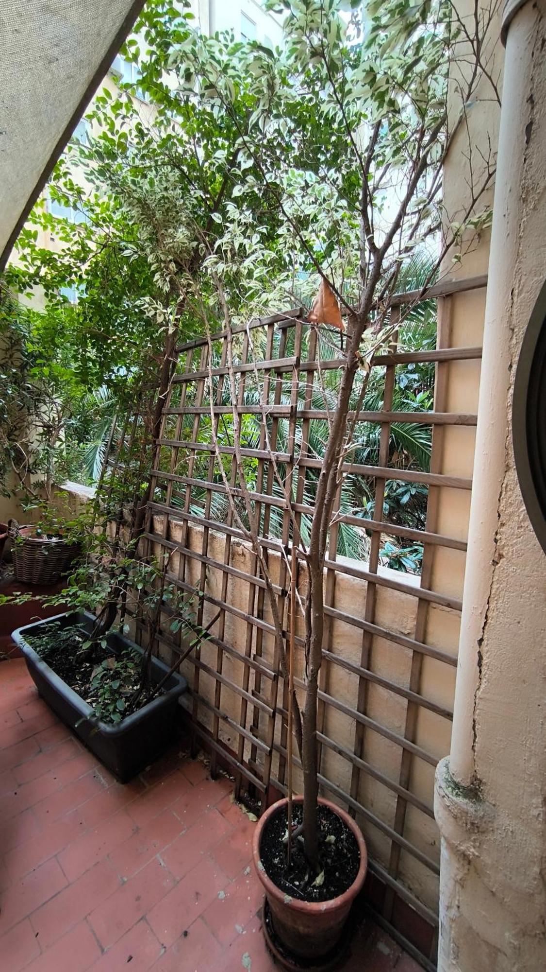 7 Moons B&B Valencia Eksteriør bilde